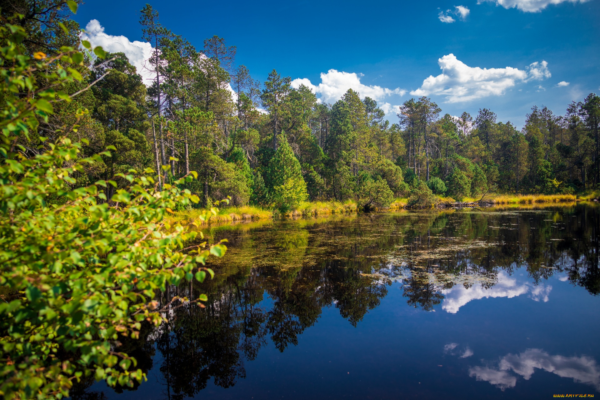 great moss lake in rejviz, czech republic, , , , great, moss, lake, in, rejviz, czech, republic